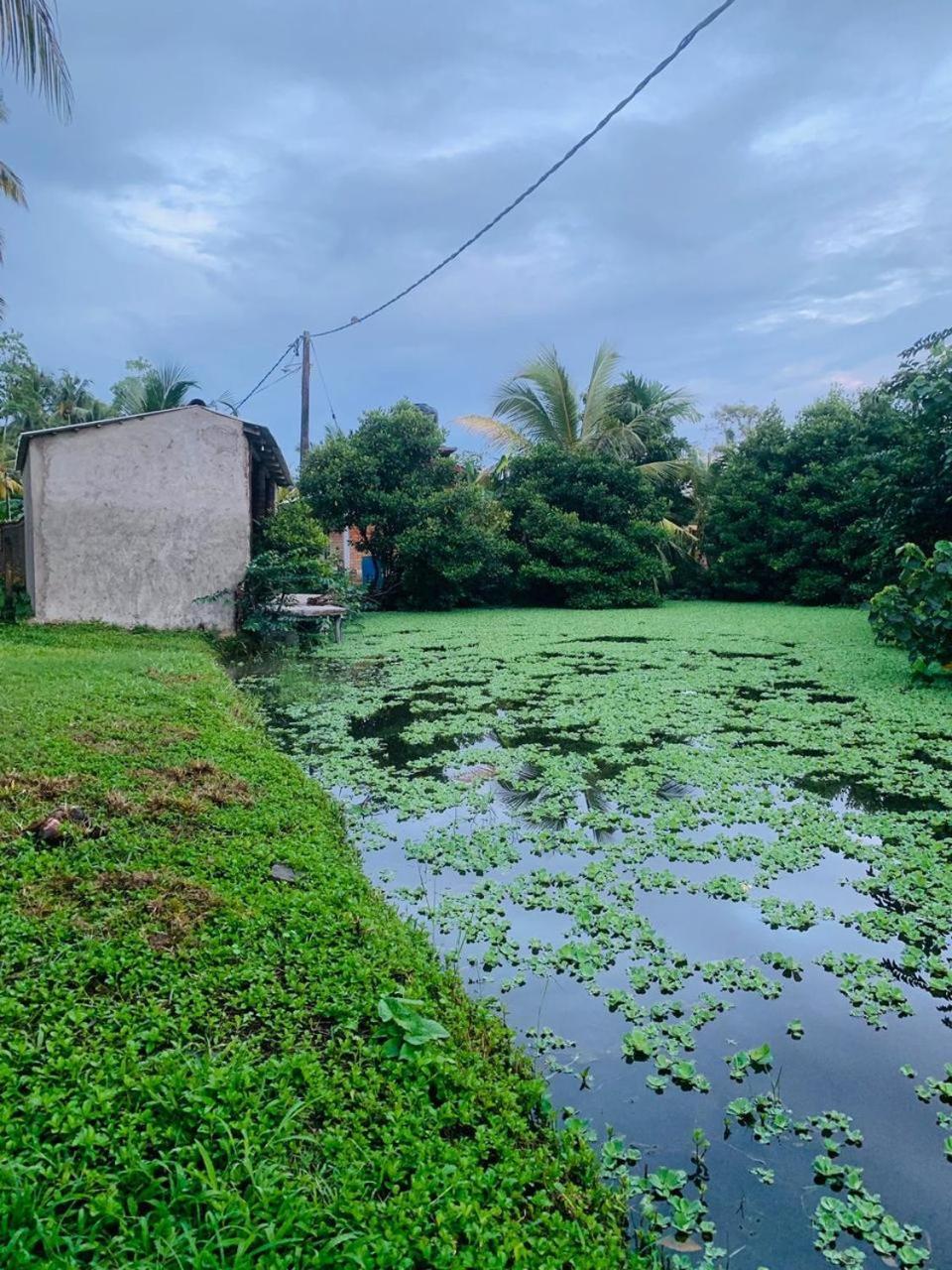 Ashok Villa Weligama Kültér fotó