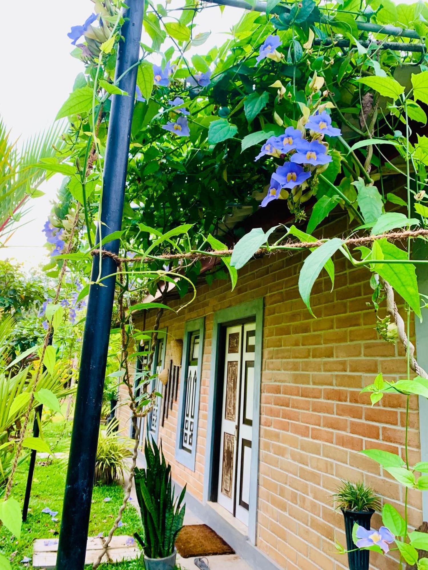 Ashok Villa Weligama Kültér fotó