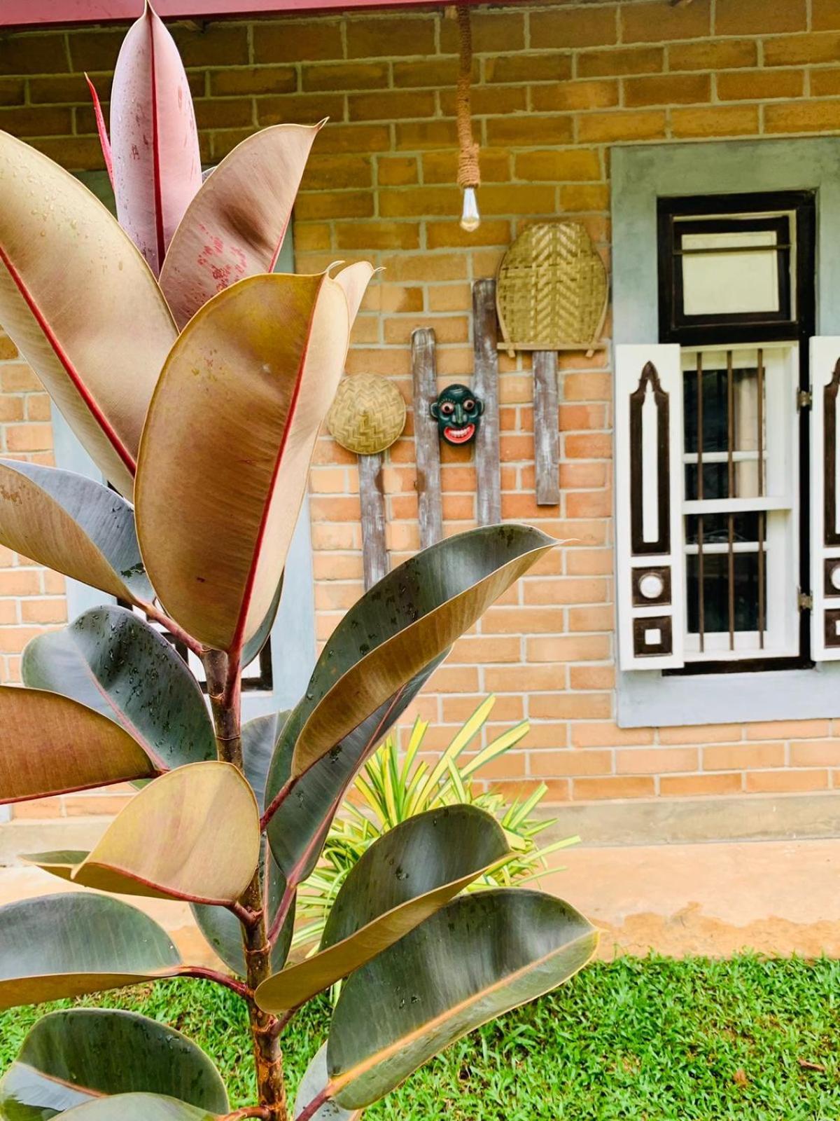 Ashok Villa Weligama Kültér fotó