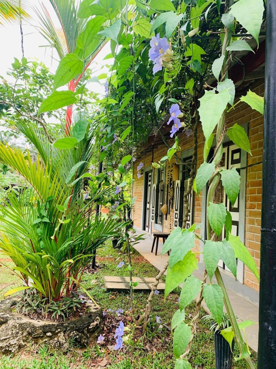 Ashok Villa Weligama Kültér fotó