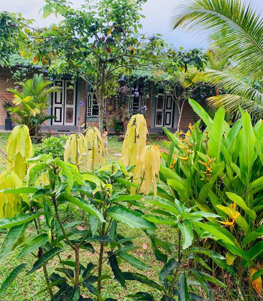Ashok Villa Weligama Kültér fotó